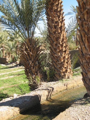 la source de nkob